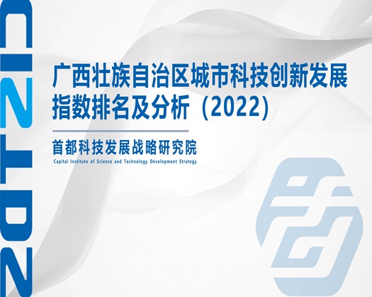 肏网站【成果发布】广西壮族自治区城市科技创新发展指数排名及分析（2022）